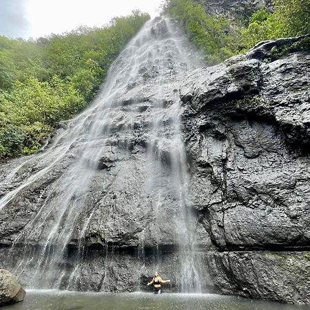 Mooz Lodge, The Local Discovery Afareaitu Екстериор снимка